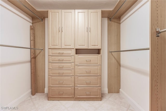 view of walk in closet