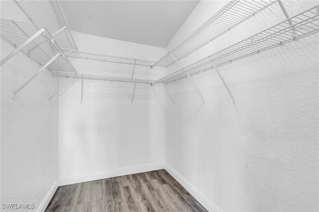 spacious closet with wood-type flooring