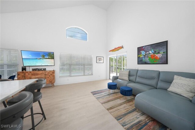 2532 Blackburn Cir, Cape Coral, FL 33991 - living area with high vaulted ceiling and light wood-style flooring