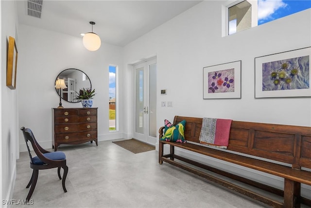 interior space featuring french doors and a healthy amount of sunlight