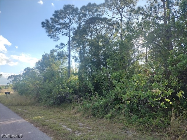 462 Loretta Ave S, Lehigh Acres FL, 33974 land for sale