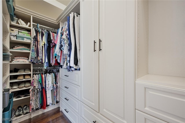 spacious closet featuring dark hardwood / wood-style flooring