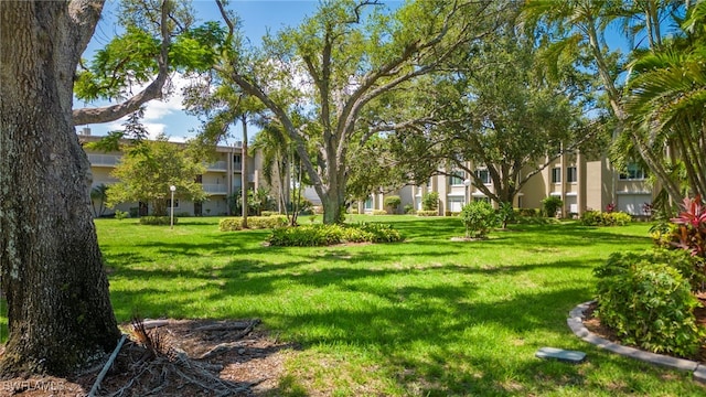 view of property's community with a yard