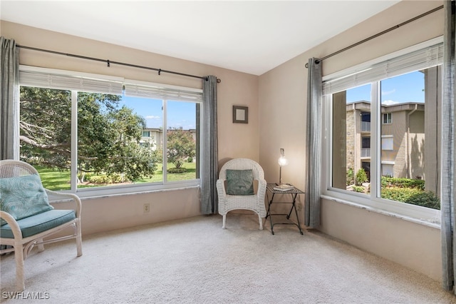 sitting room with carpet flooring