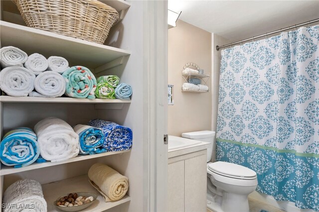 bathroom with vanity, toilet, and a shower with shower curtain