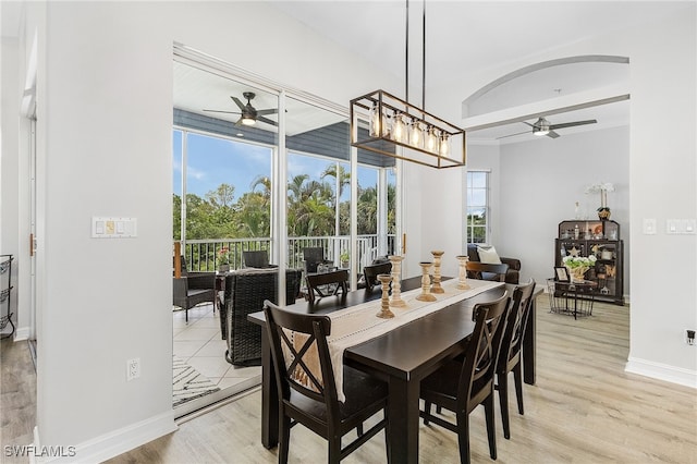 dining area with ceiling fan and light hardwood / wood-style flooring