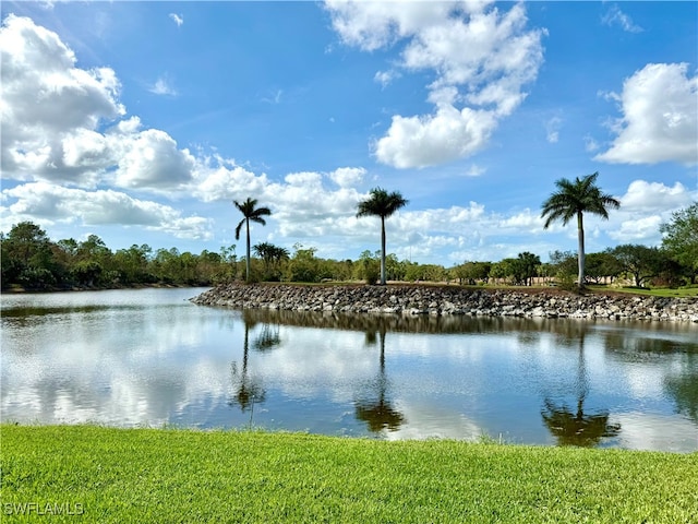 view of water feature