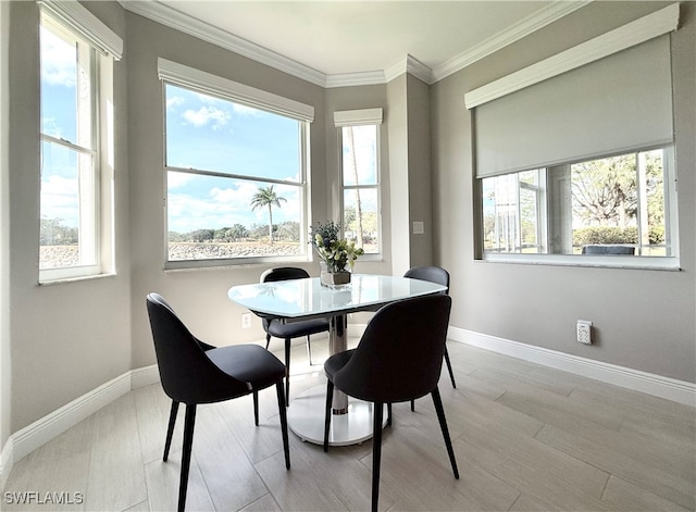 dining area featuring a wealth of natural light and light wood-type flooring