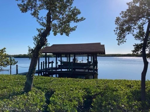 dock area with a water view