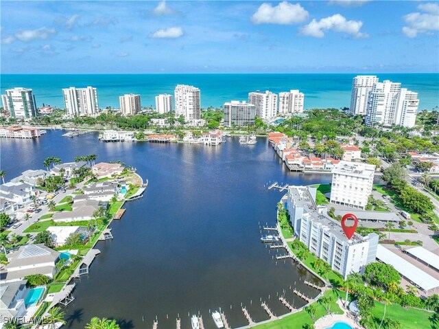 aerial view with a water view