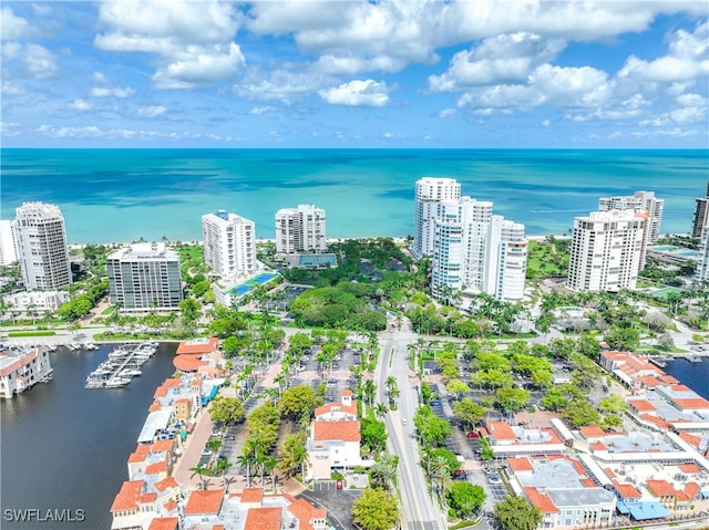 aerial view with a water view