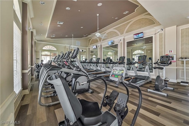 gym featuring ceiling fan and hardwood / wood-style flooring