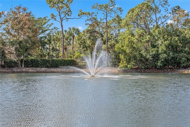 property view of water