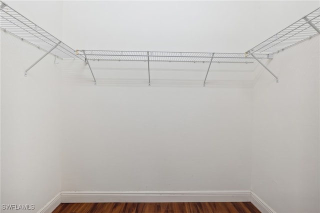 spacious closet featuring dark wood-type flooring