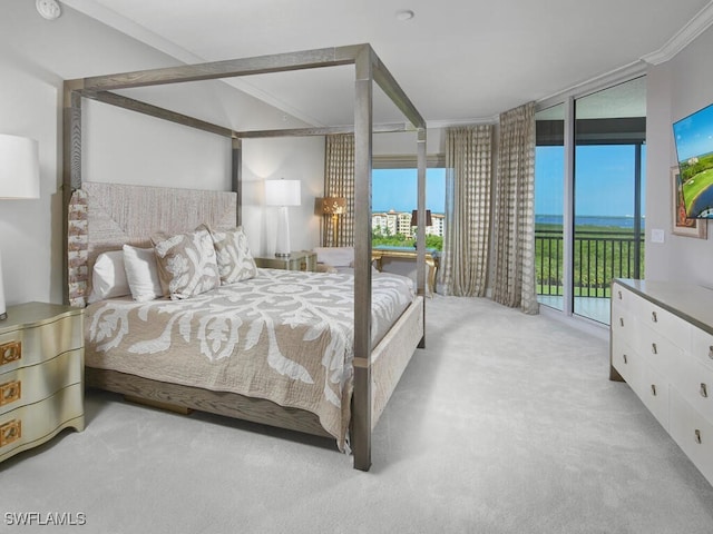 carpeted bedroom featuring access to outside and crown molding