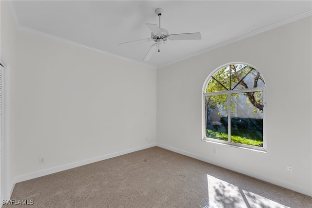 carpeted spare room featuring ceiling fan and crown molding