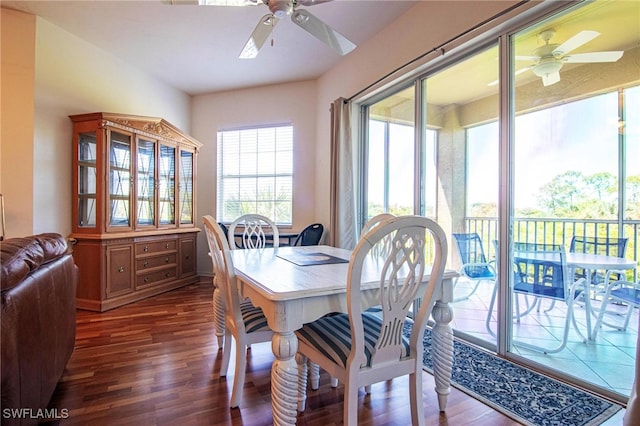 dining room with plenty of natural light, ceiling fan, and dark hardwood / wood-style flooring