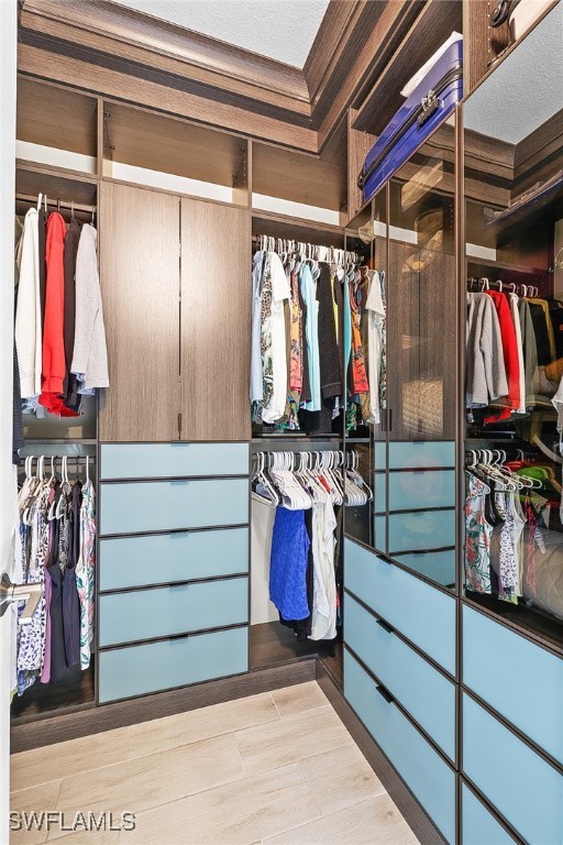 spacious closet featuring light hardwood / wood-style flooring