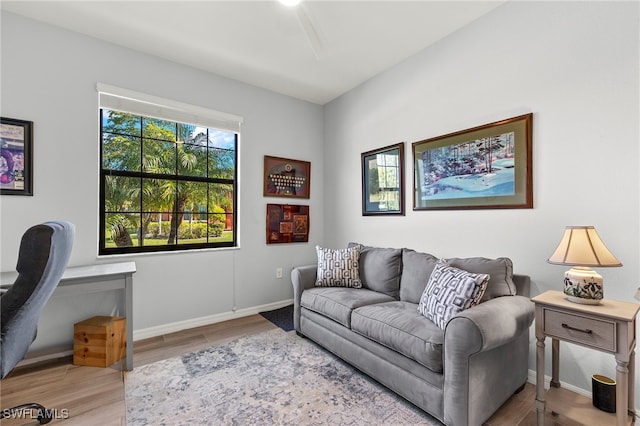 living room with wood-type flooring