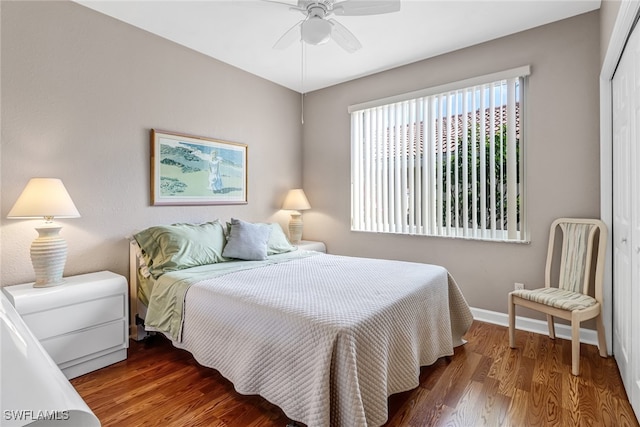 bedroom with dark hardwood / wood-style flooring, ceiling fan, and a closet