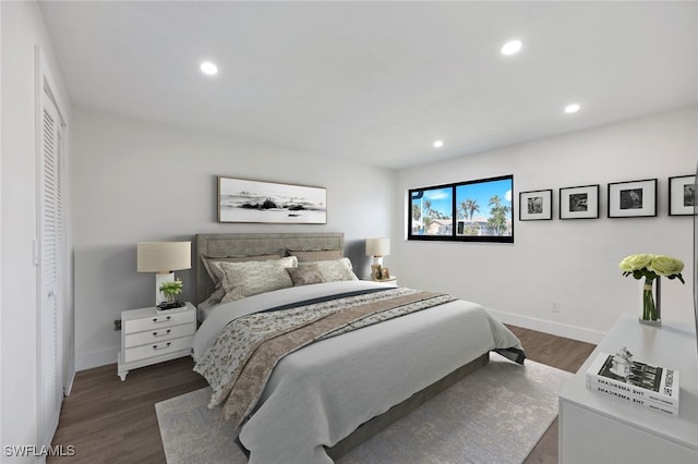 bedroom featuring dark wood-type flooring and a closet