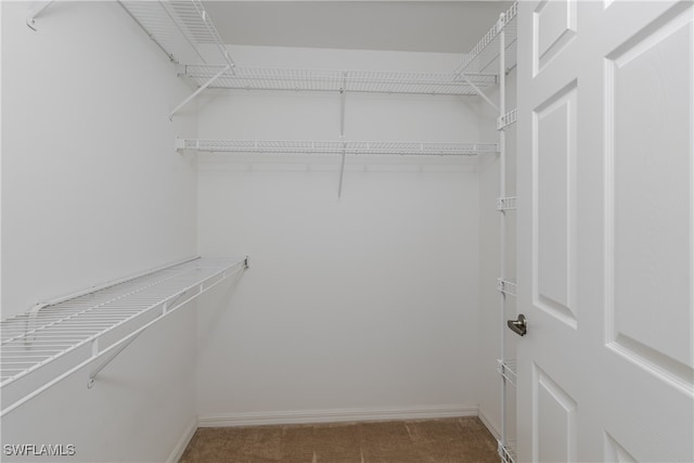 walk in closet featuring carpet floors