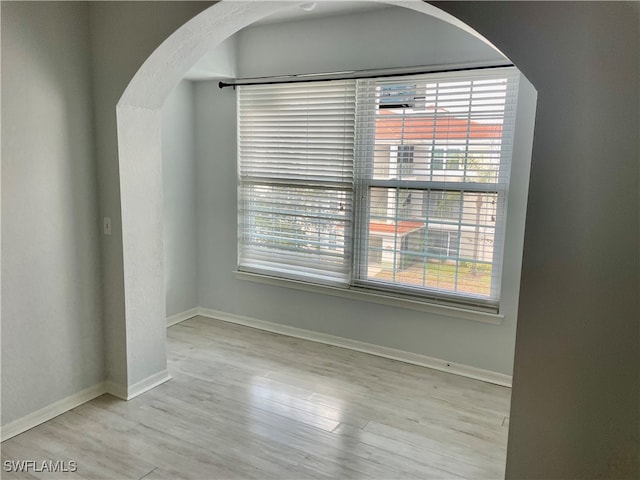 spare room with light wood-type flooring and a healthy amount of sunlight