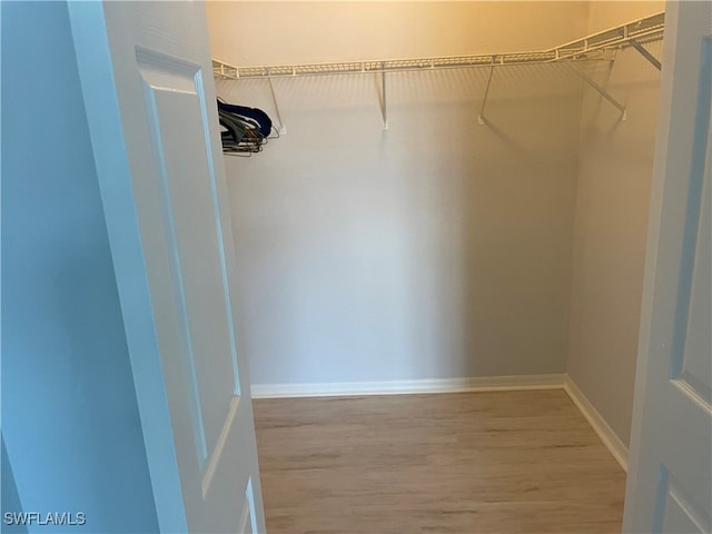 walk in closet featuring hardwood / wood-style flooring