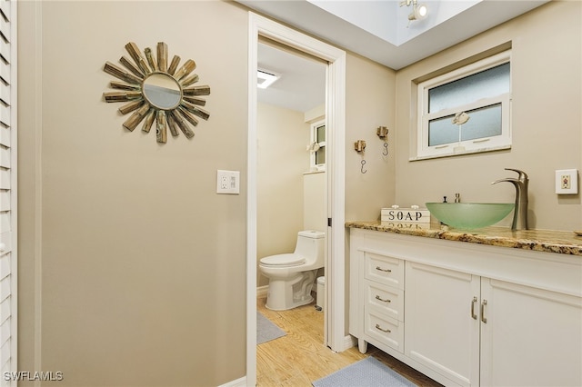 bathroom with wood-type flooring, vanity, and toilet