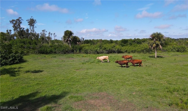 3395 Duncan Rd, Punta Gorda, FL 33982