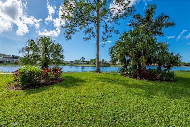 view of yard with a water view