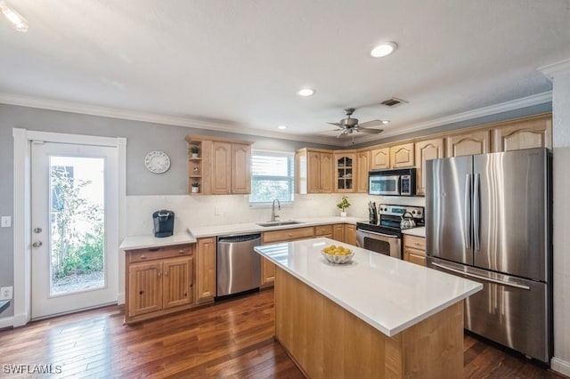 kitchen featuring dark hardwood / wood-style flooring, a kitchen island, sink, and stainless steel appliances