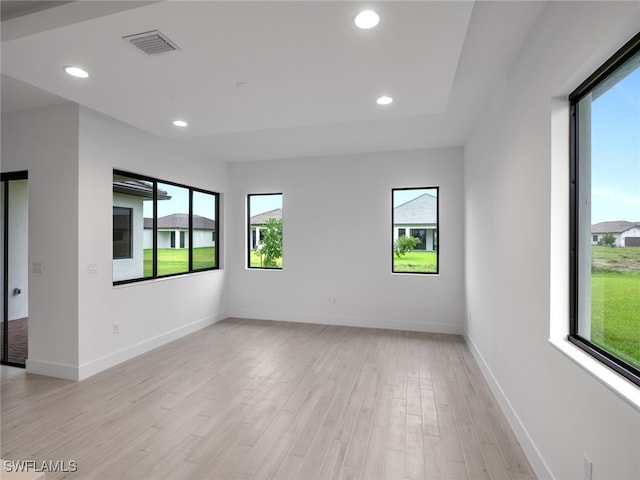 spare room with light hardwood / wood-style floors and a healthy amount of sunlight