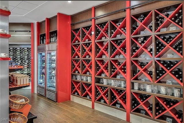 wine cellar with wood-type flooring