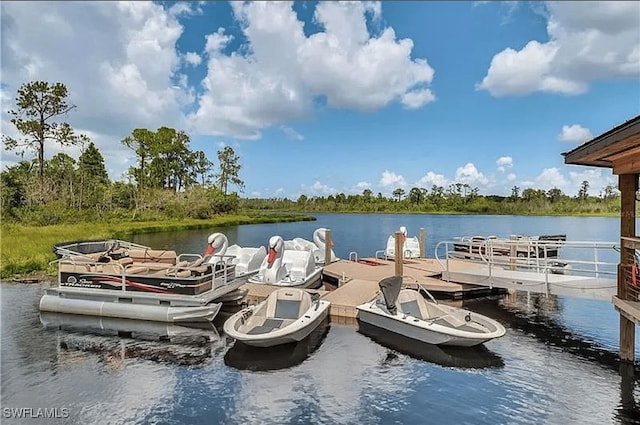 dock area featuring a water view