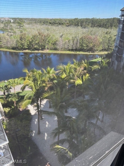 14501 Grove Resort Ave Unit 3712, Winter Garden, FL 34787 - water view