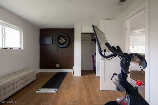 workout room featuring plenty of natural light and hardwood / wood-style flooring