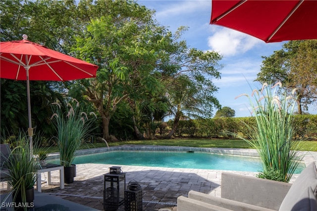 view of pool with a patio and pool water feature