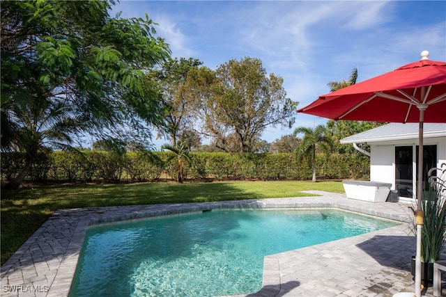 view of swimming pool with a yard and a patio area