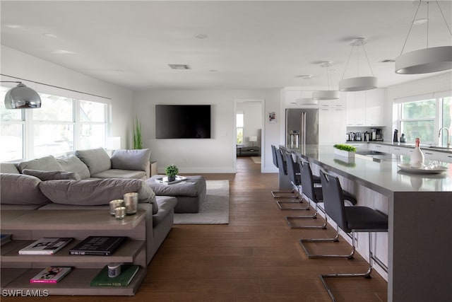 living room featuring dark hardwood / wood-style flooring and sink