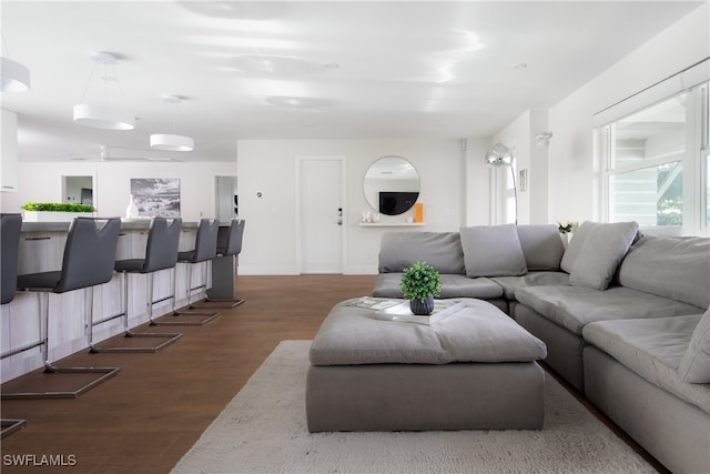 living room with dark hardwood / wood-style flooring