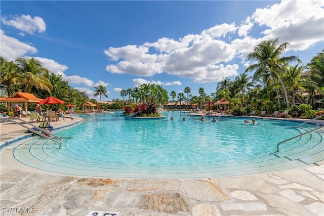 view of swimming pool with a patio area