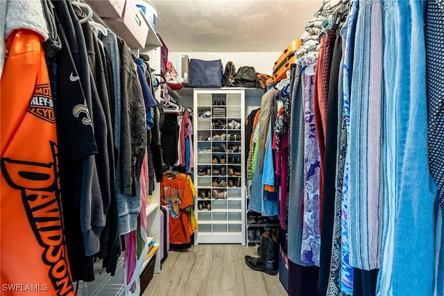 spacious closet with light hardwood / wood-style flooring