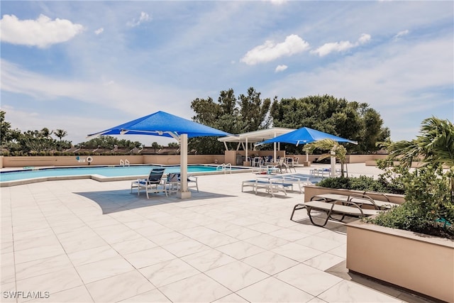 view of pool with a patio