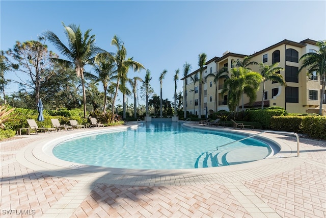 view of swimming pool featuring a patio area