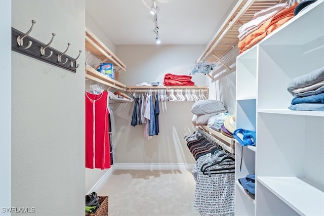 spacious closet featuring carpet floors