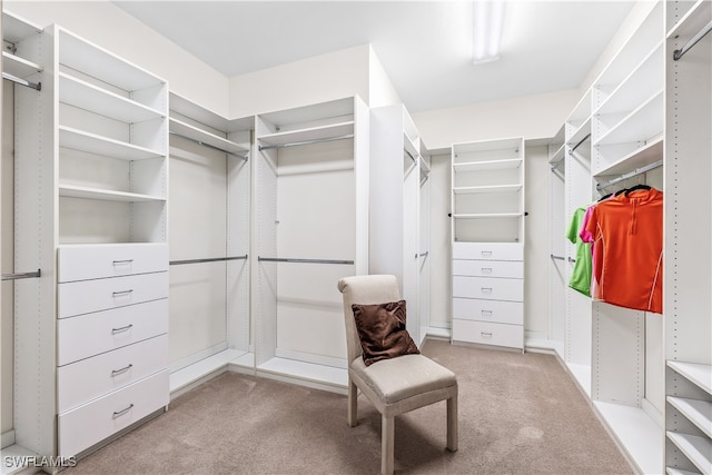 walk in closet with light carpet