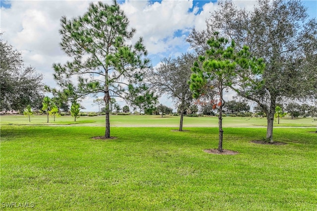 view of community with a yard