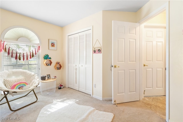 sitting room with light carpet