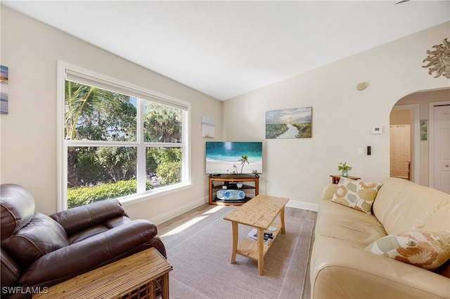 living room with lofted ceiling and wood-type flooring